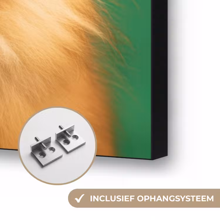 Hond - Zonnebril - Valentijn - Love Textielframe zwart klein -USP_ophangsysteemNL