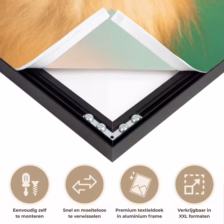 Hond - Zonnebril - Valentijn - Love Textielframe zwart klein -USP_closeupNL