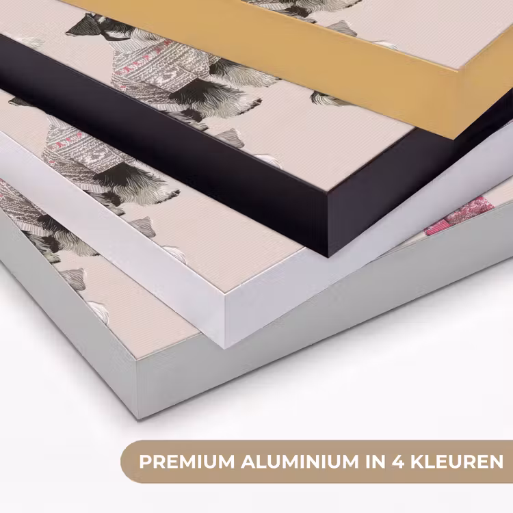 Honden - Truien - Rood Textielframe zwart klein 947 -USP_kleurenNL