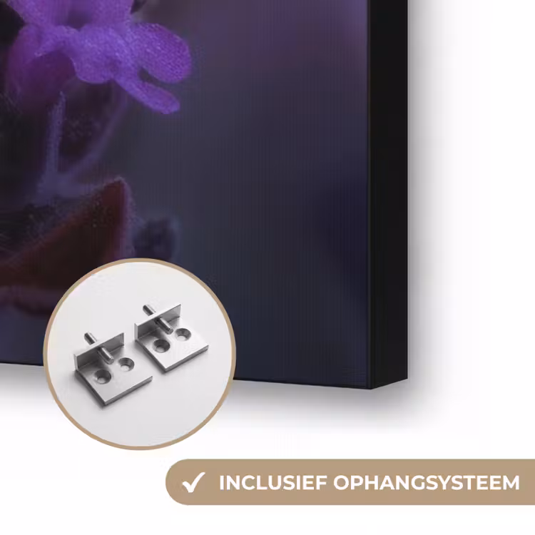 Honingbij - Paarse bloemen - Details Textielframe zwart klein -USP_ophangsysteemNL