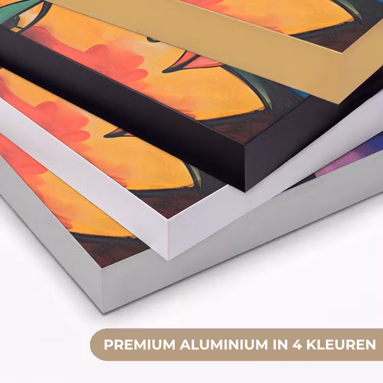 Hoofd - Olieverf - Schilderij - Kleurrijk Textielframe zwart klein -USP_kleurenNL