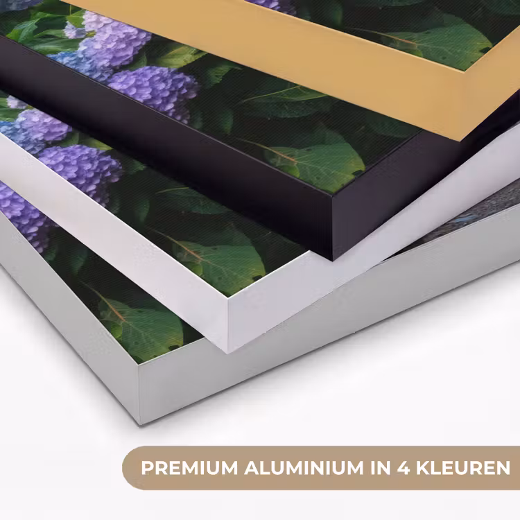 Hortsensia - Pad - Bloemen Textielframe zwart klein -USP_kleurenNL