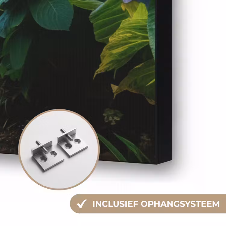 Hortsensia - Pad - Bloemen Textielframe zwart klein -USP_ophangsysteemNL