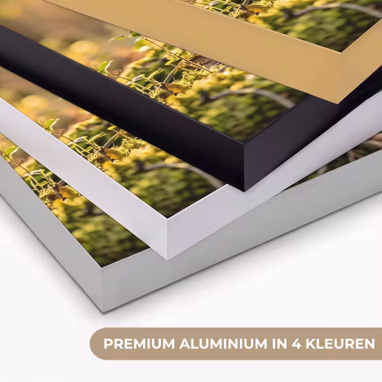 Houtsnip - Bos - Bladeren - Herfst - Gecamoufleerd Textielframe zwart klein -USP_kleurenNL