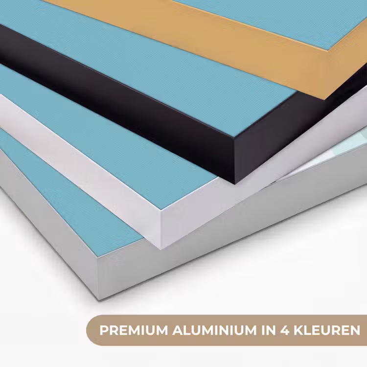 Ijsbeer - Lichtblauw - Minimalistisch Textielframe zwart klein -USP_kleurenNL