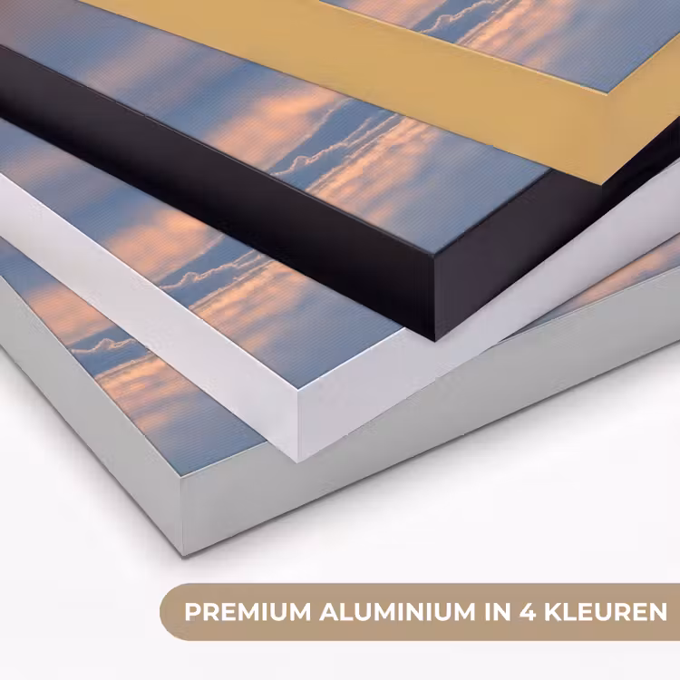 Ijsbeer - Sneeuw - Zonsopgang Textielframe zwart klein -USP_kleurenNL