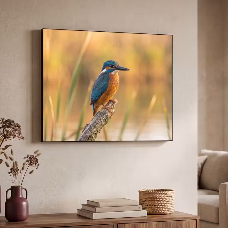 IJsvogel - Tak - Water - Kleurrijk - Levendig Textielframe zwart klein -sfeer3