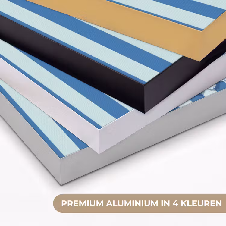Illustratie - Bessen - Blauw - Strepen Textielframe zwart klein -USP_kleurenNL
