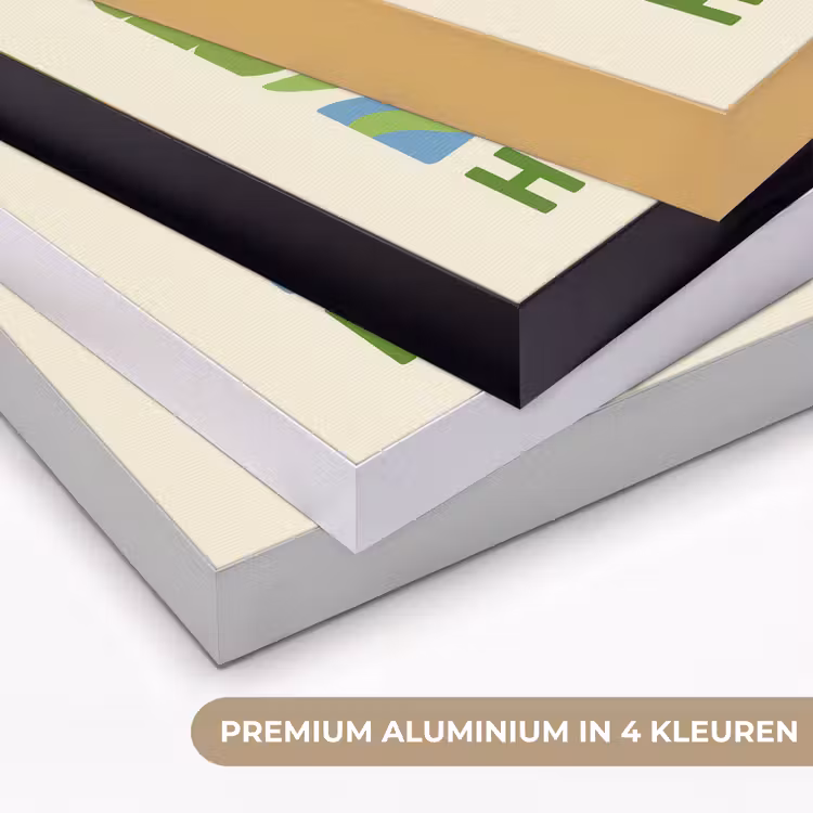 Illustratie - Bloemen - Quote - Kleurrijk Textielframe zwart klein -USP_kleurenNL