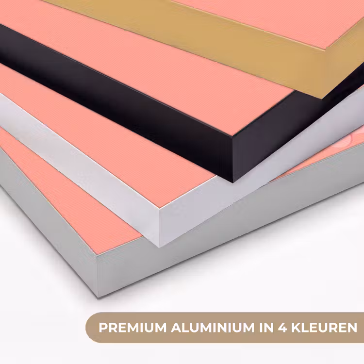 Illustratie - Bloemen - Rand - Roze Textielframe zwart klein -USP_kleurenNL