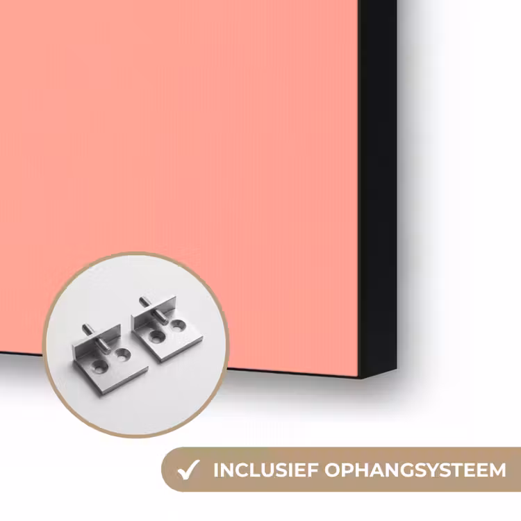 Illustratie - Bloemen - Rand - Roze Textielframe zwart klein -USP_ophangsysteemNL