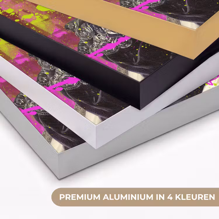 Johanna Henriette Engelen - Dubois Drahonet - Neon Textielframe zwart klein -USP_kleurenNL