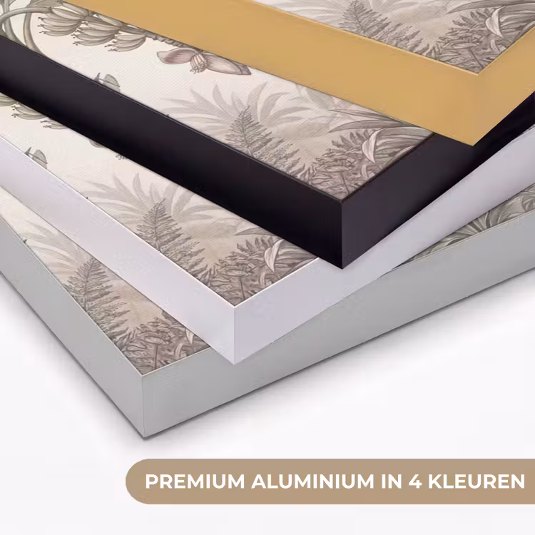 Jungle - Banenboom - Kolibrie - Beige Textielframe zwart klein -USP_kleurenNL