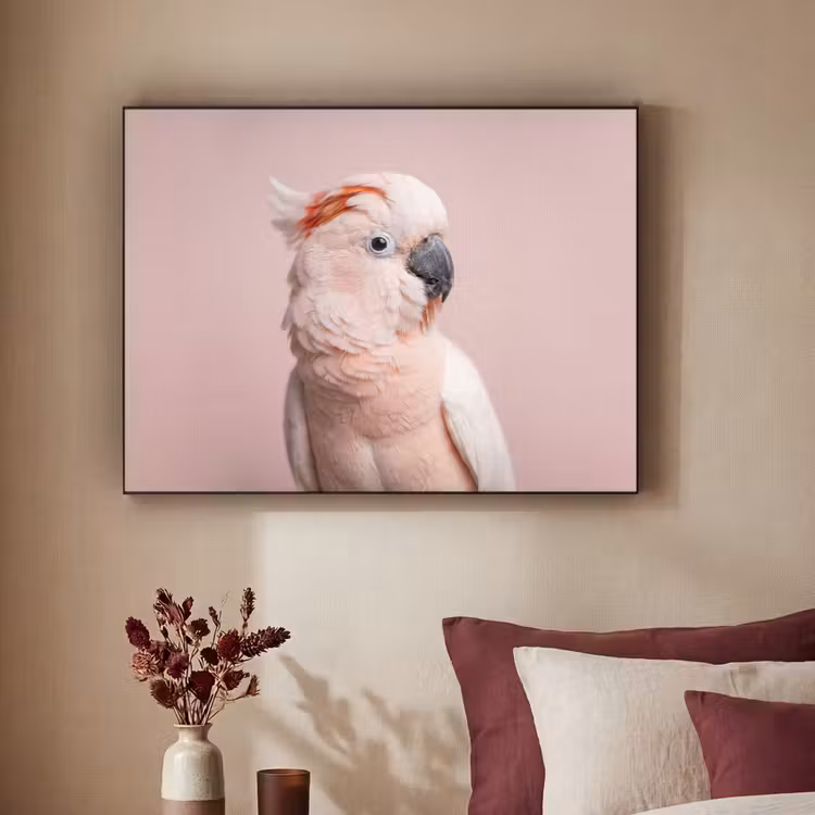 Kaketoe - Portret - Roze Textielframe zwart klein -sfeer1