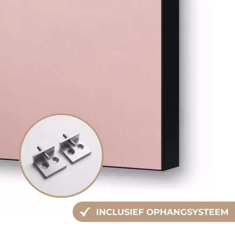 Kaketoe - Portret - Roze Textielframe zwart klein -USP_ophangsysteemNL