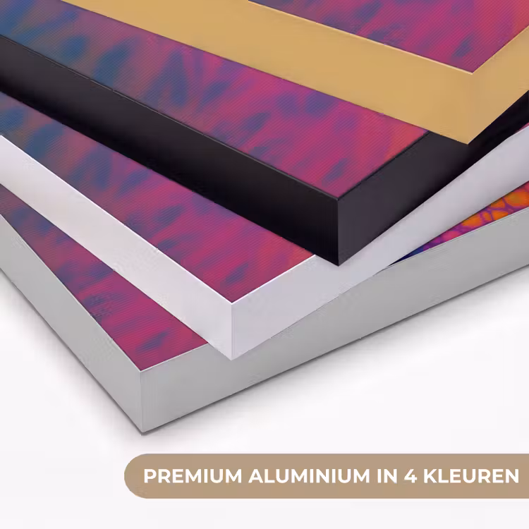 Kameleon - Dieren - Neon - Kleur Textielframe zwart klein -USP_kleurenNL