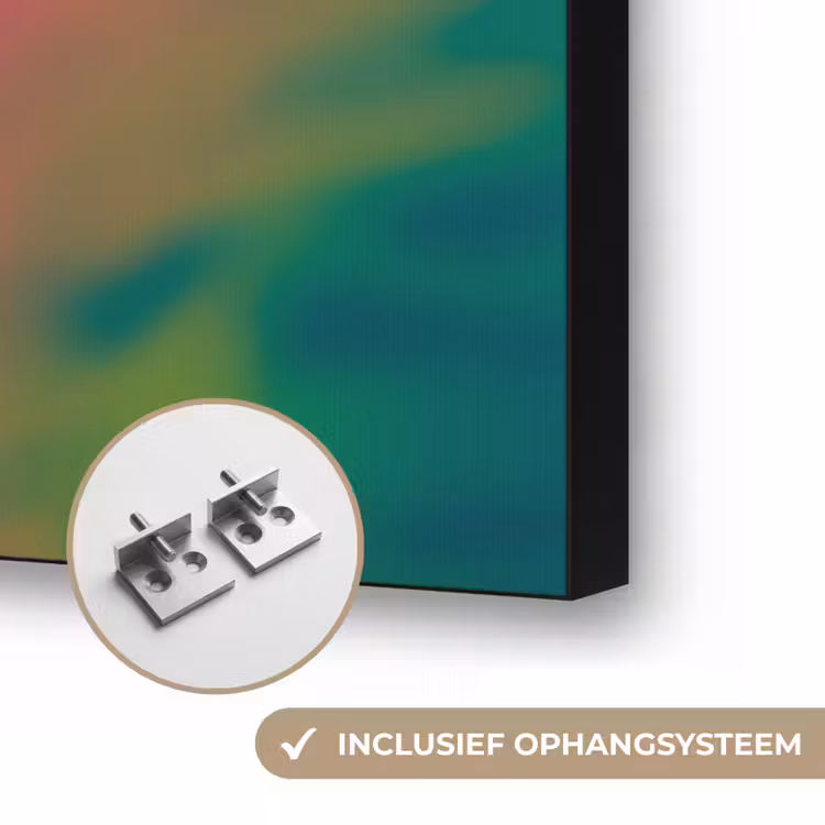 Kameleon - Dieren - Neon - Kleur Textielframe zwart klein -USP_ophangsysteemNL