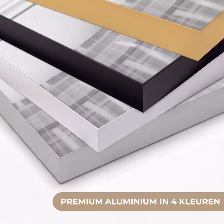 Kat - Siamees - Zwart Wit - Schattig - Dieren Textielframe zwart klein -USP_kleurenNL