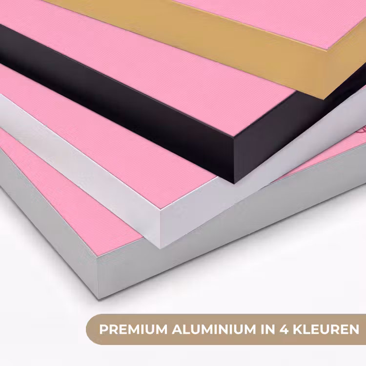 Kat - Springend - Dieren - Roze - Modern Textielframe zwart klein -USP_kleurenNL