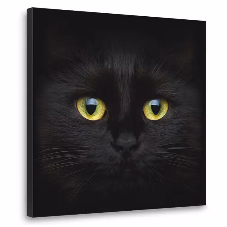 Kat - Zwart - Dieren - Natuur Textielframe zwart klein -3d