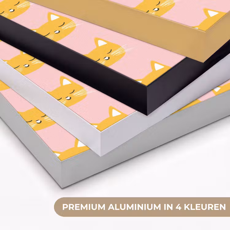 Katten - Patroon - Roze Textielframe zwart klein 947 -USP_kleurenNL