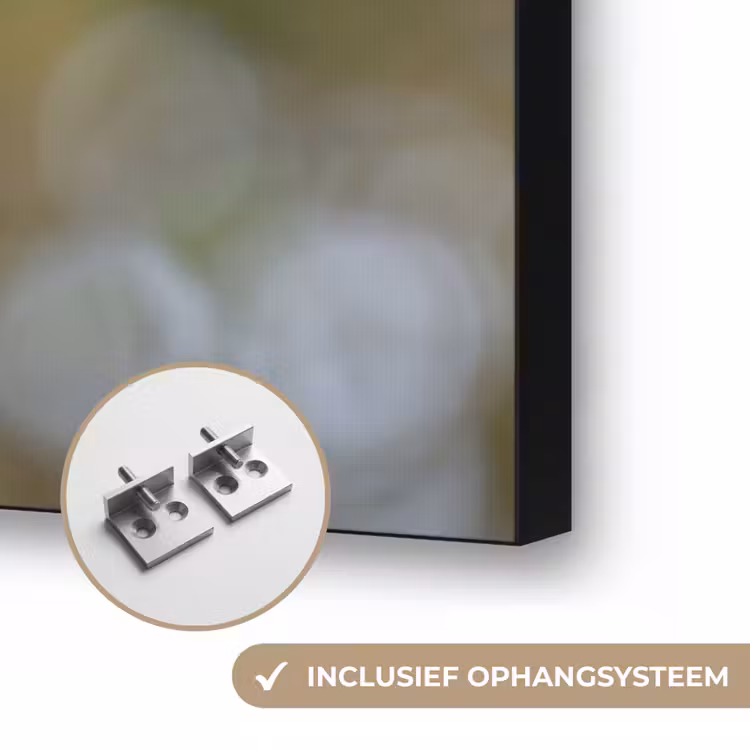 Kerkuil - Boom - Natuur - Bruin Textielframe zwart klein -USP_ophangsysteemNL