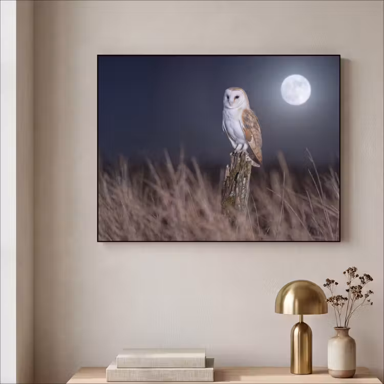 Kerkuil - Maan - Nacht Textielframe zwart klein -sfeer2
