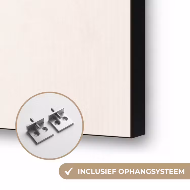 Kever - Insect - Vintage Textielframe zwart klein -USP_ophangsysteemNL