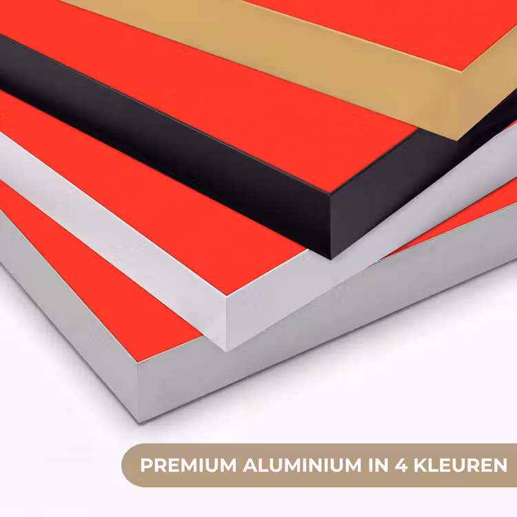 Kikker - Kleurrijk - Strepen - Ogen Textielframe zwart klein -USP_kleurenNL