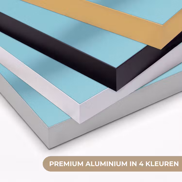 Kiwi - Blauw - Surrealistisch Textielframe zwart klein -USP_kleurenNL