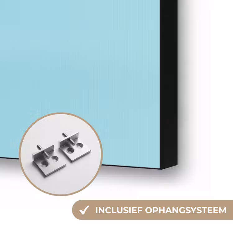 Kiwi - Blauw - Surrealistisch Textielframe zwart klein -USP_ophangsysteemNL