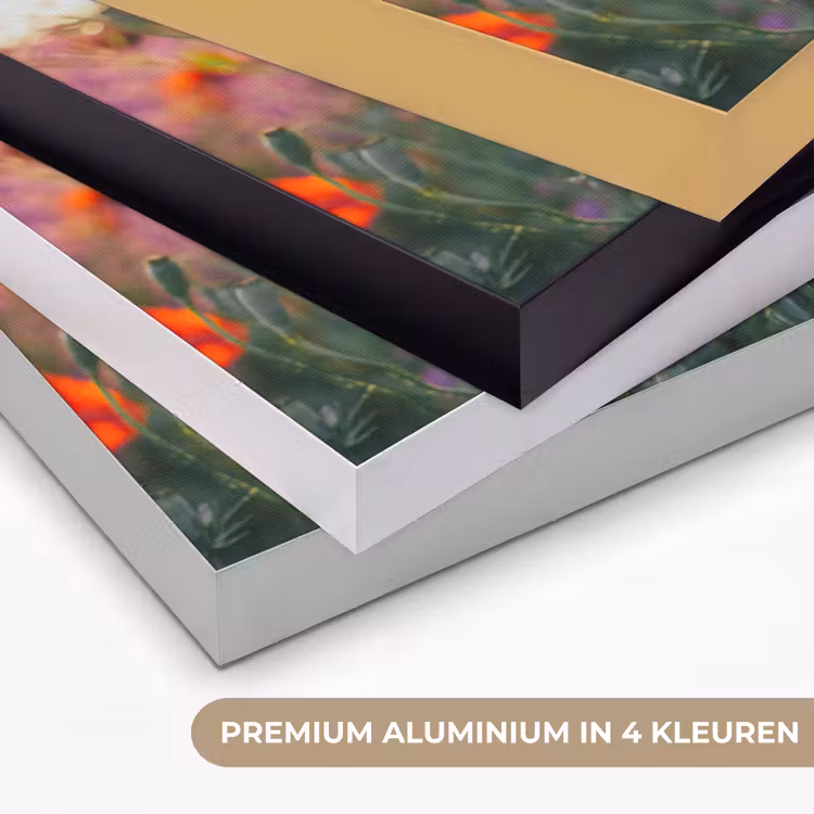 Klaproos - Bloemen - Rood - Paars - Weide Textielframe zwart klein -USP_kleurenNL