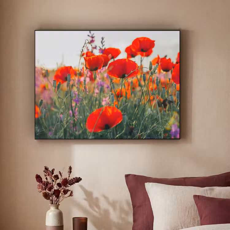 Klaproos - Bloemen - Rood - Paars - Weide Textielframe zwart klein -sfeer1