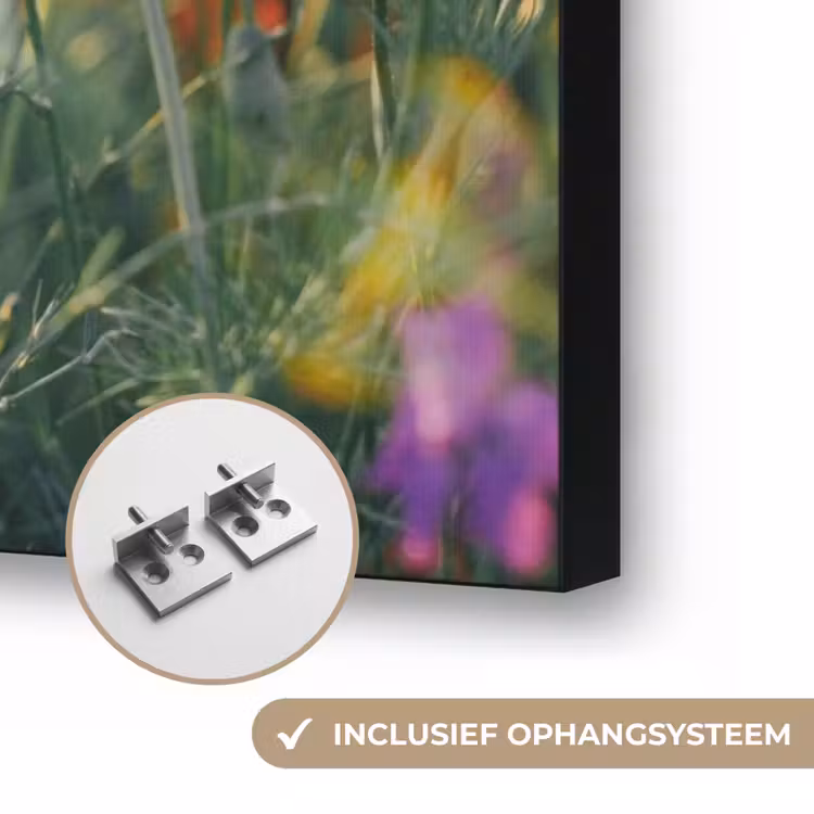 Klaproos - Bloemen - Rood - Paars - Weide Textielframe zwart klein -USP_ophangsysteemNL