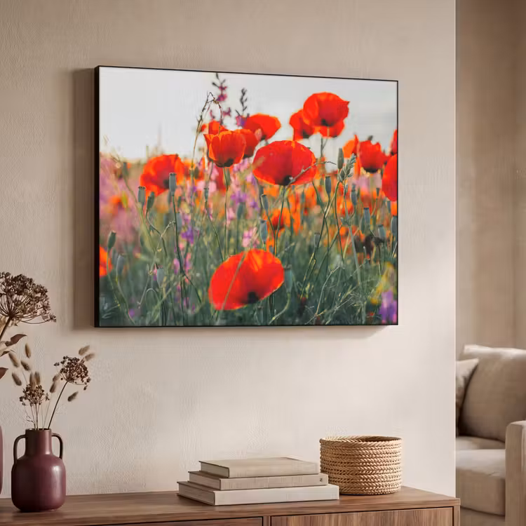 Klaproos - Bloemen - Rood - Paars - Weide Textielframe zwart klein -sfeer3
