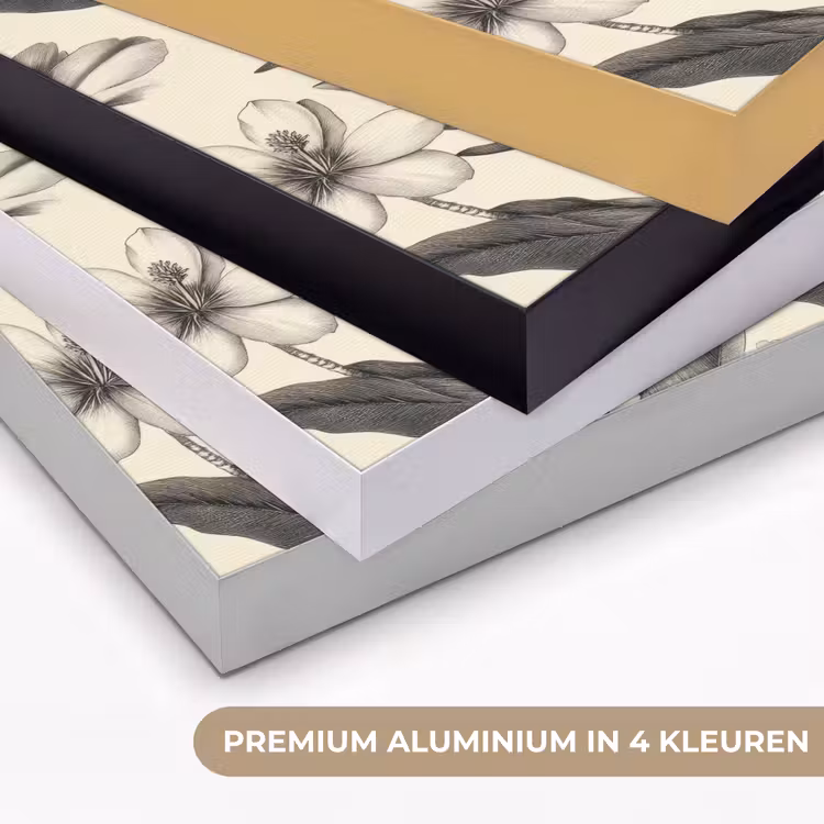 Klassiek - Botanisch - Zwart - Beige Textielframe zwart klein 947 -USP_kleurenNL