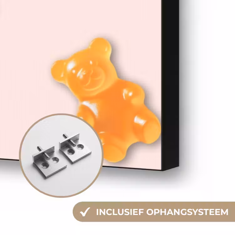 Kleur - Snoep - Roze Textielframe zwart klein -USP_ophangsysteemNL