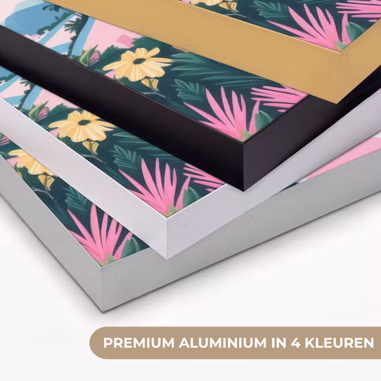 Kleurrijk - Huizen - Heuvels - Roze Textielframe zwart klein -USP_kleurenNL