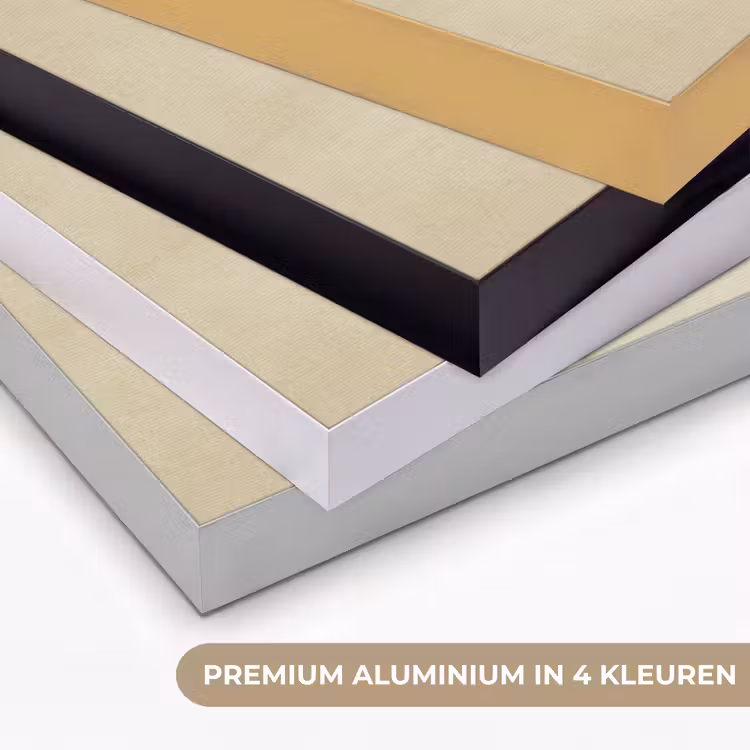 Kleurrijk - Vis - Schubben - Illustratie Textielframe zwart klein -USP_kleurenNL