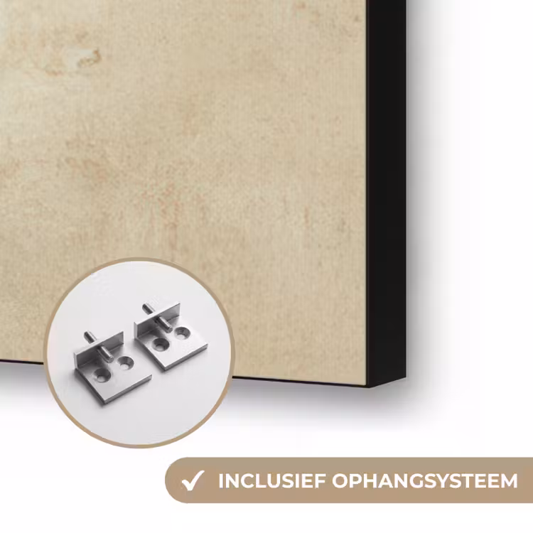 Kleurrijk - Vis - Schubben - Illustratie Textielframe zwart klein -USP_ophangsysteemNL