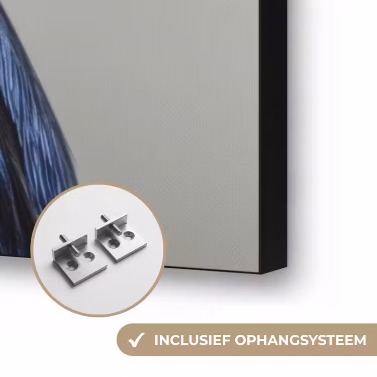Kleurrijk - Vogeltje - Veren - Blauw Textielframe zwart klein -USP_ophangsysteemNL