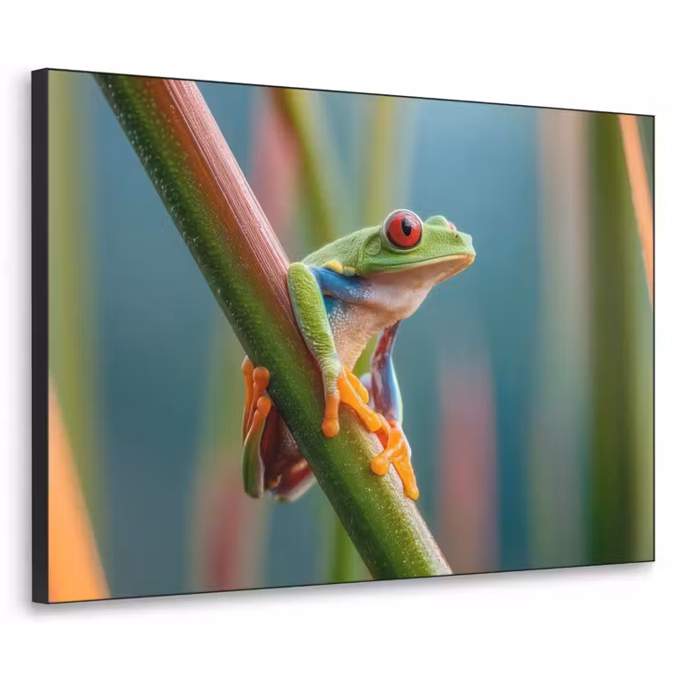 Kleurrijke kikker - Groene stengel - Alert Textielframe - compleet frame klein -3d