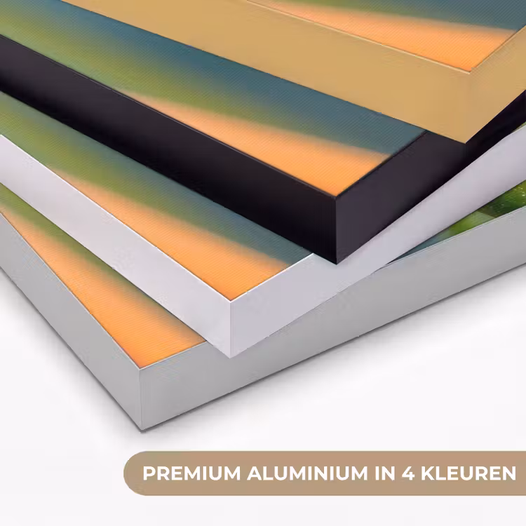 Kleurrijke kikker - Groene stengel - Alert Textielframe zwart klein -USP_kleurenNL