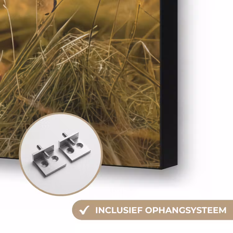 Koe - Dier - Weiland - Gras - Dieren - Natuur Textielframe zwart klein -USP_ophangsysteemNL