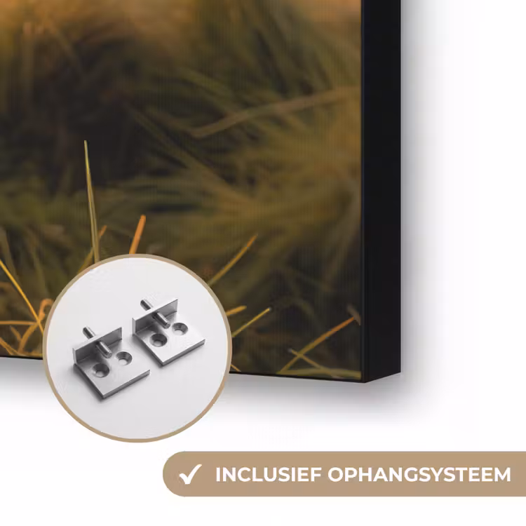 Koe - Weiland - Dieren portret - Natuur - Koeien Textielframe zwart klein -USP_ophangsysteemNL