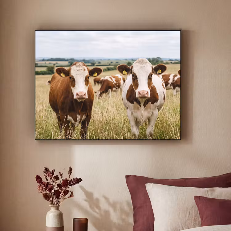 Koeien - Portret - Weide - Boerderij - Nieuwsgierig Textielframe zwart klein -sfeer1