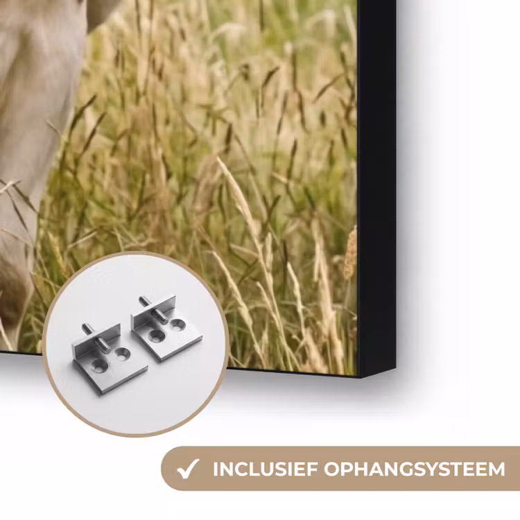 Koeien - Portret - Weide - Boerderij - Nieuwsgierig Textielframe zwart klein -USP_ophangsysteemNL