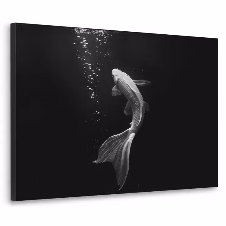 Koi - Vis - Wit - Zwart Textielframe zwart klein -3d