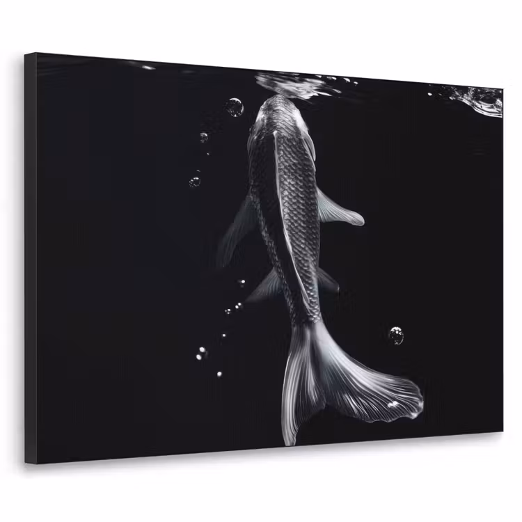 Koi - Vissen - Water - Zwart Textielframe - compleet frame klein -3d