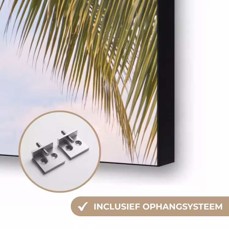 Kokosnoot - Boom - Tropisch - Natuur - Groen Textielframe zwart klein -USP_ophangsysteemNL